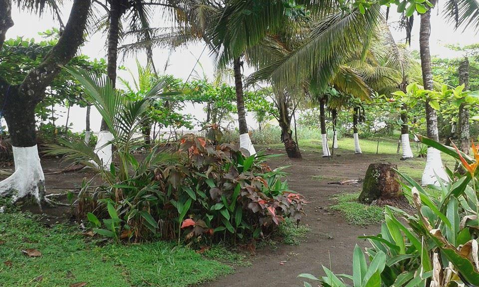 Cabinas Balcon Del Mar Tortuguero 호텔 외부 사진