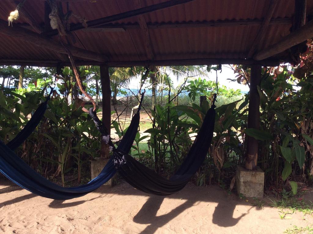 Cabinas Balcon Del Mar Tortuguero 호텔 외부 사진